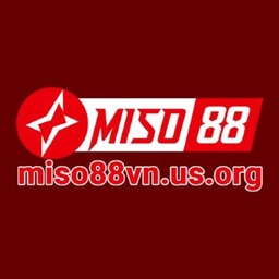 Miso88 Vnusorg